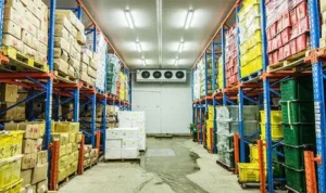 cold storage analisa