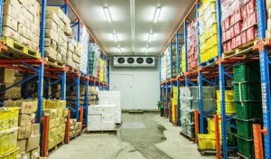 analisa cold storage
